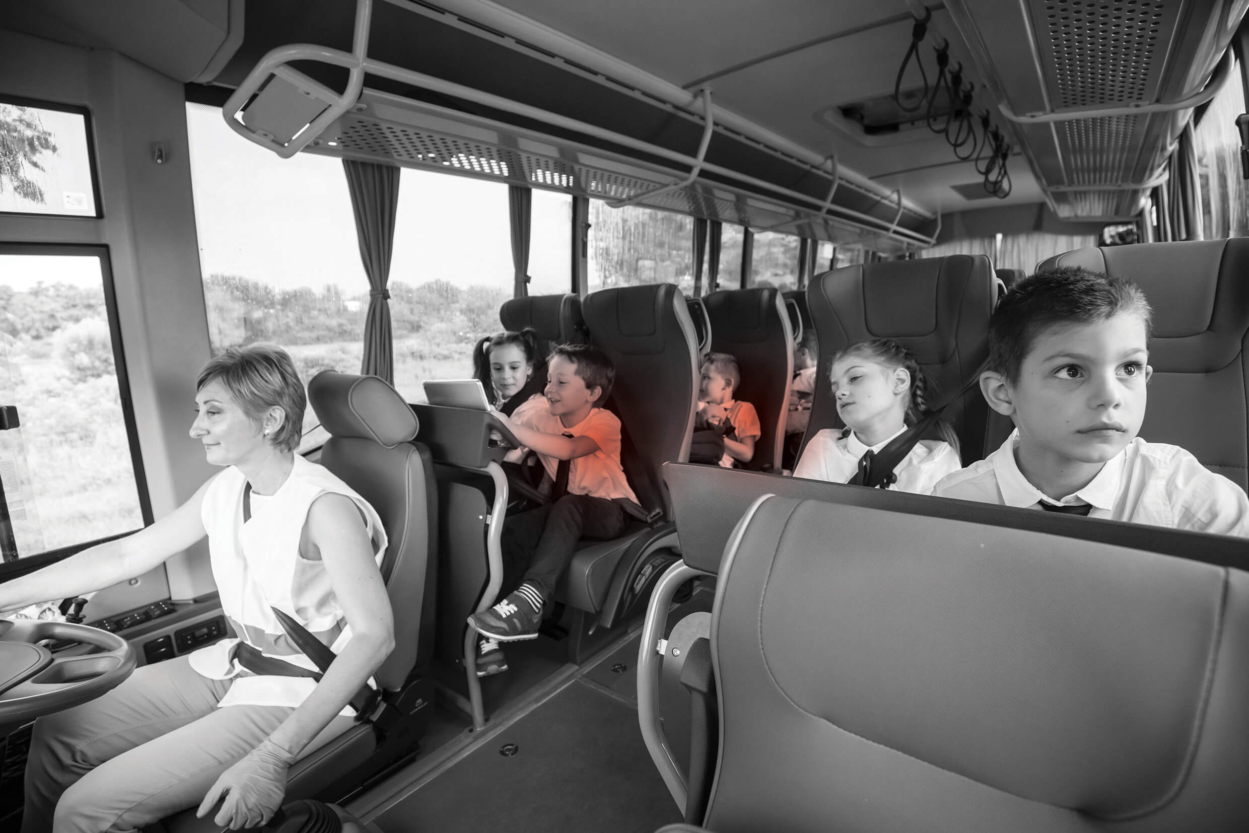 seatcheck seatbelt safety